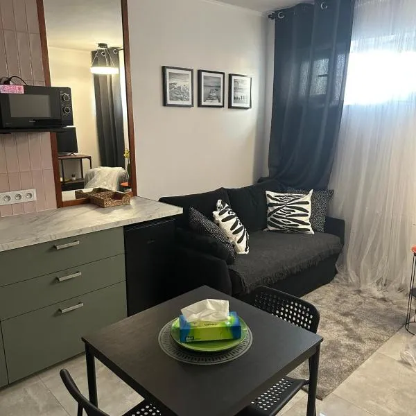 Stylish apartmens near Minsk Mazowiecki，位于Choszczówka的酒店