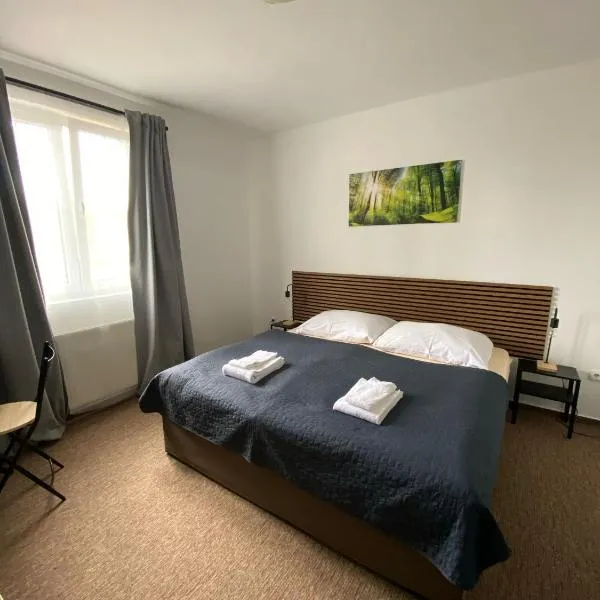 Valnovka Wellness Hotel，位于Kamenice的酒店