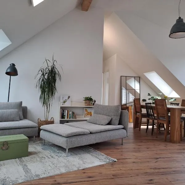 Rheinhessen-Loft，位于阿尔蔡的酒店