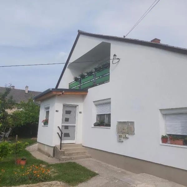 Jani vendégház Ground floor & Apartman，位于巴拉顿菲赖德的酒店