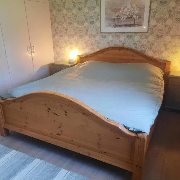 Hagälven i Hagfors，位于哈格福什的酒店