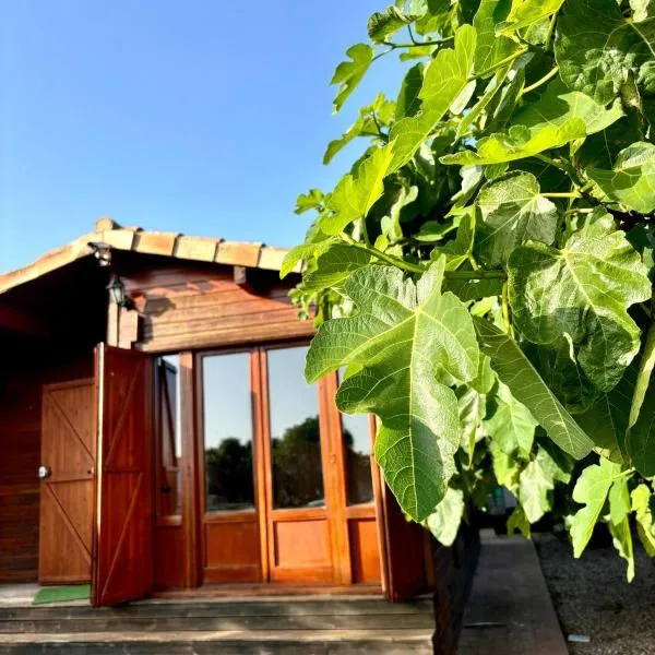 Casa de Madera，位于埃尔帕尔马的酒店