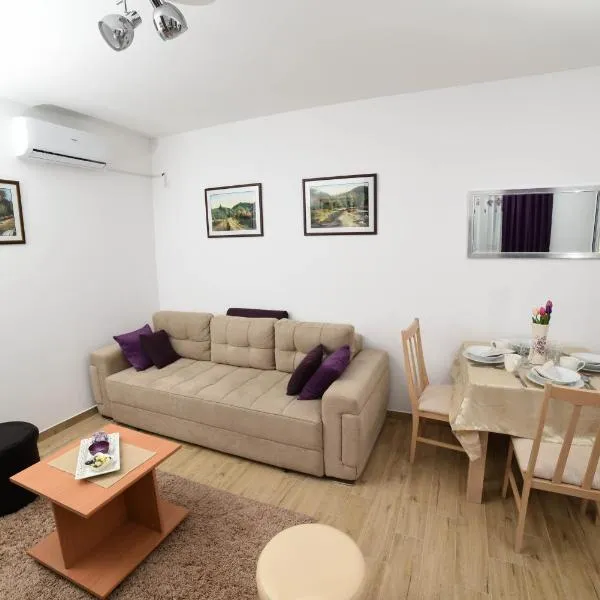 NeVa Apartman, Banja Vrujci，位于Rakari的酒店