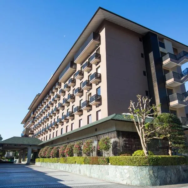 爱迪星大酒店，位于成田的酒店