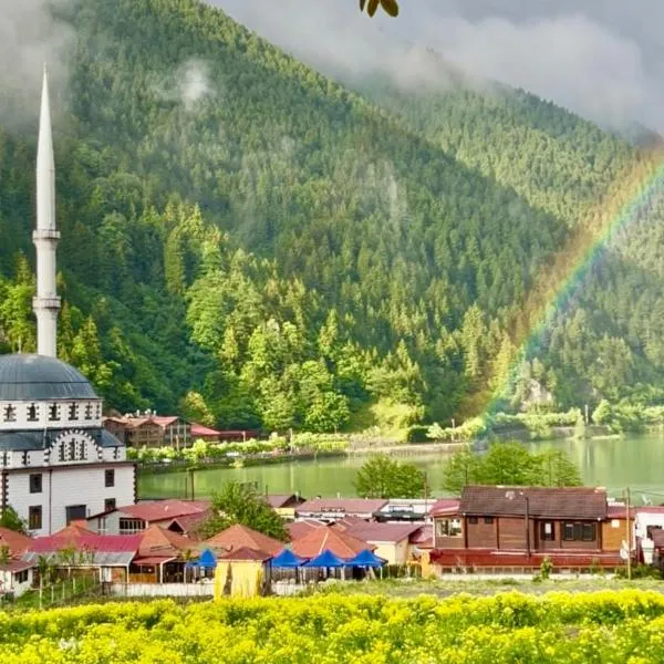 Ilhan Suite Hotel，位于乌宗的酒店