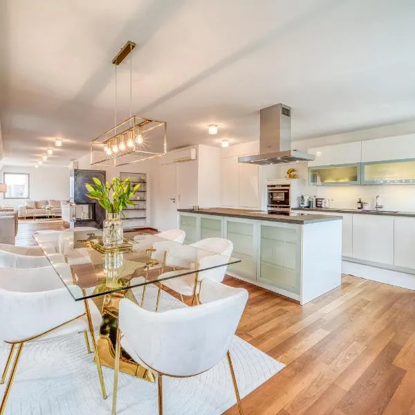 Luxury Penthouse in the center，位于纽伦堡的酒店