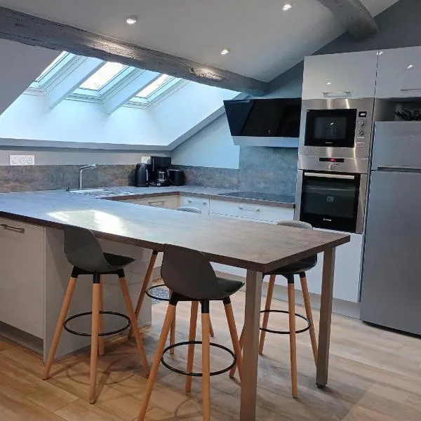 Appartement de charme à Amboise face à la Loire，位于阿姆博斯的酒店