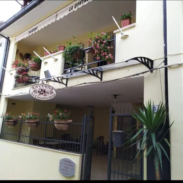 Affittacamere La Contadina Sisina，位于Aliano的酒店