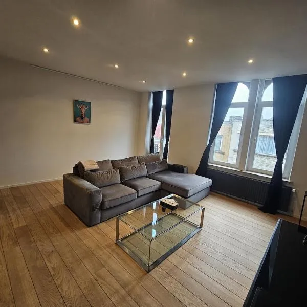 Luxury Triplex Stylish 2BR Apartment in Brussels，位于布鲁塞尔的酒店