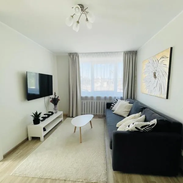 Stylish apartment in Central City，位于塔林的酒店