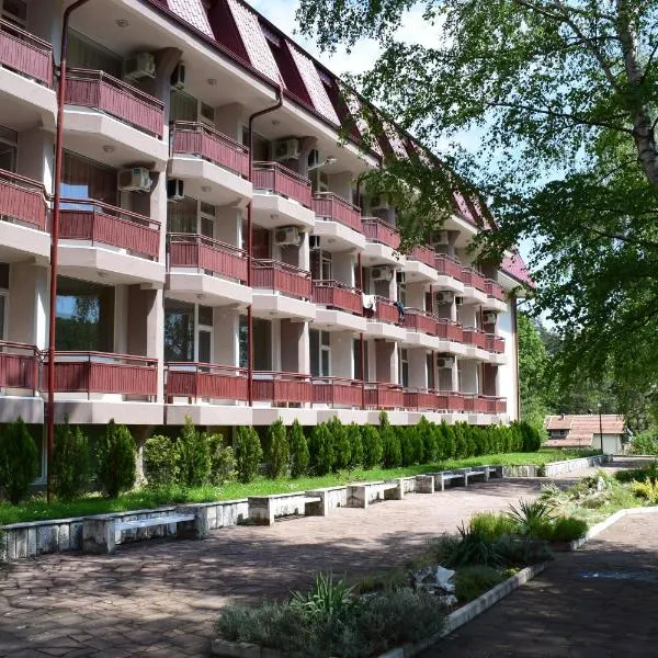 Constantzia Balneohotel，位于科斯泰内茨的酒店