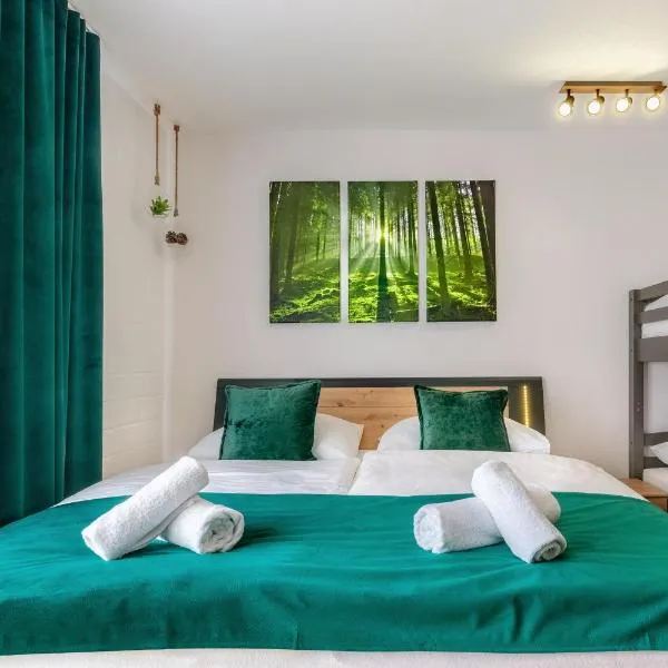 Englmar Apartments with free WELLNESS and FITNESS，位于圣恩吉玛的酒店