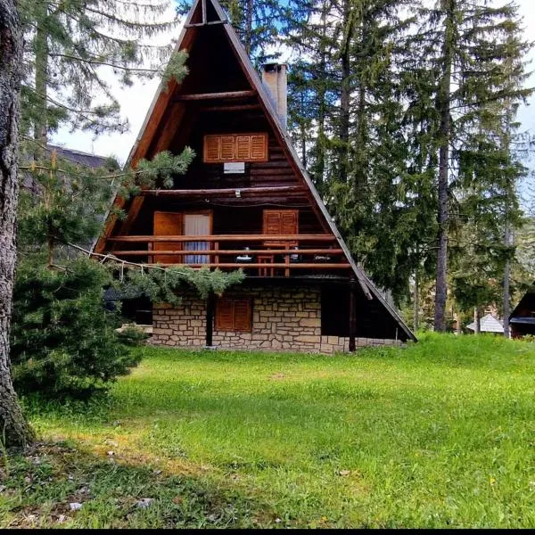 Planinska kuća Divna，位于Šišava的酒店