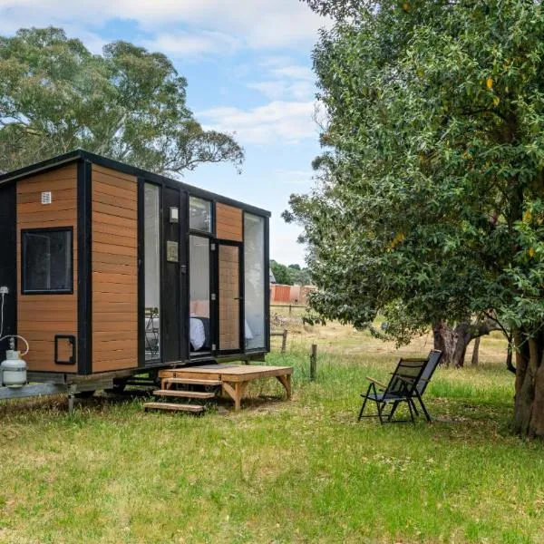 Skye High Cabin by Tiny Away，位于Lyndhurst South的酒店