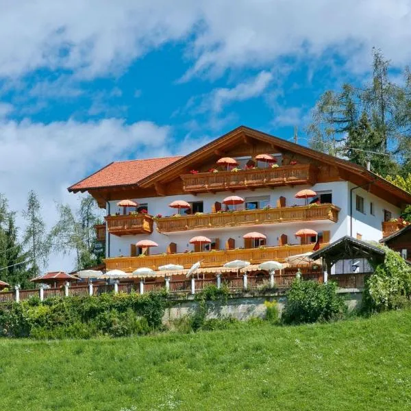 Hotel Rastlhof，位于思科纳的酒店