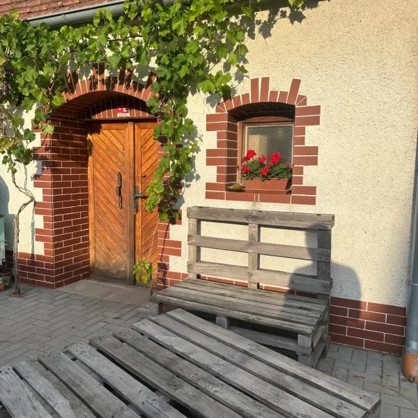 Vinařství Adamevino，位于Starovičky的酒店