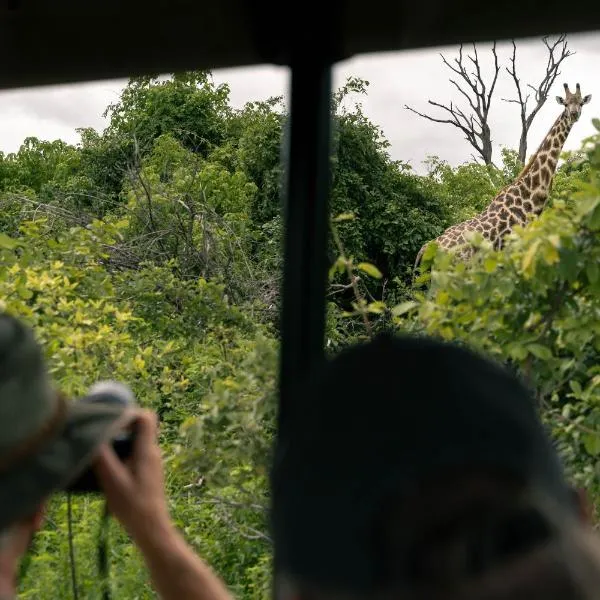 Chobe River Lodge，位于卡萨内的酒店