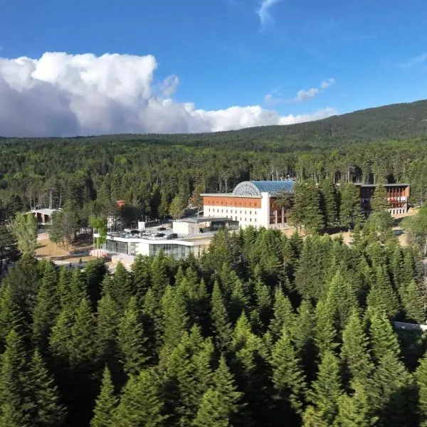 Swissotel Uludag Bursa，位于伯萨的酒店