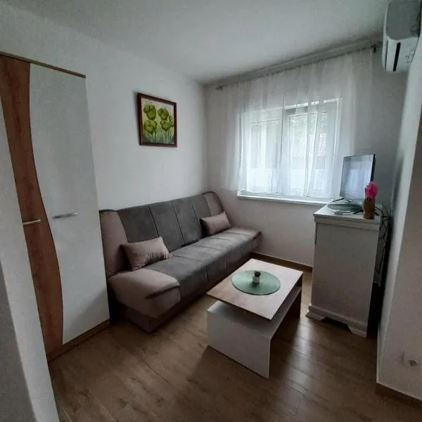 Apartman Višnja，位于Gornja Toplica的酒店