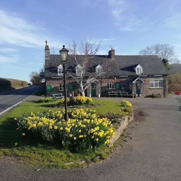 The Old Ford inn，位于Llanhamlach的酒店