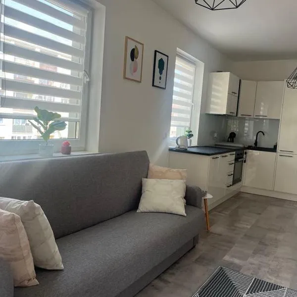 Apartament LUCA z balkonem，位于奥莱希尼察的酒店