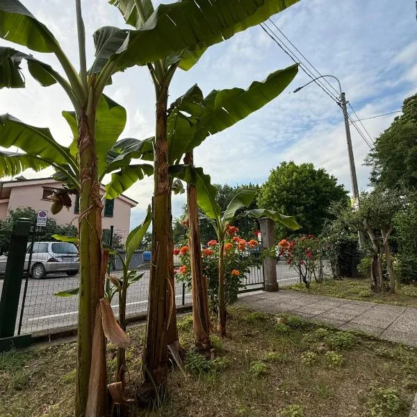 B&B Il Balcone Fiorito，位于伊莫拉的酒店