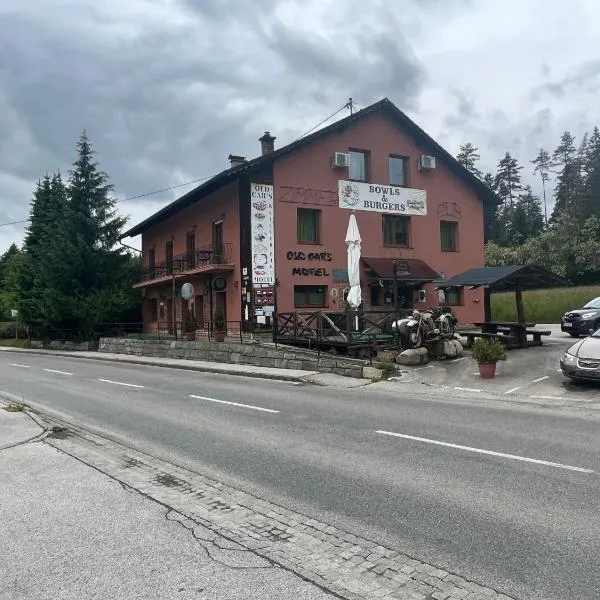Old Car's Hotel，位于Selpritsch的酒店
