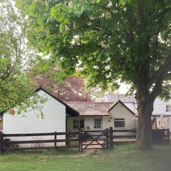 Chestnut Cottage New Forest，位于布罗肯赫斯特的酒店
