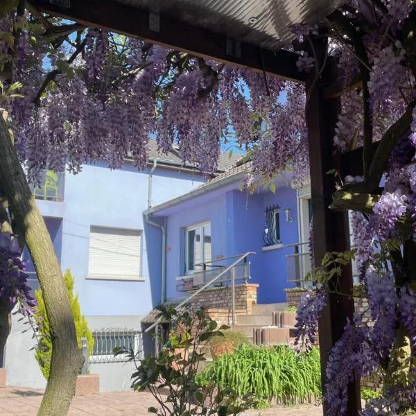 Appartement entier, calme, confortable et spacieux，位于Gundershoffen的酒店