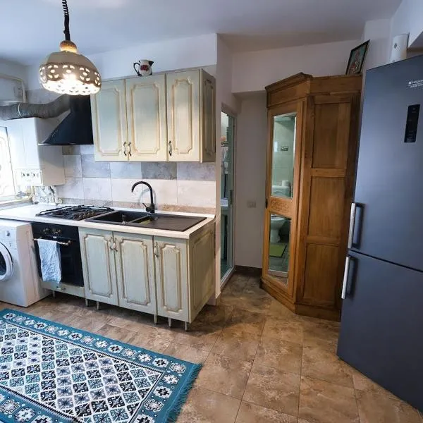 Garsonieră Gara Eklipsa，位于苏恰瓦的酒店