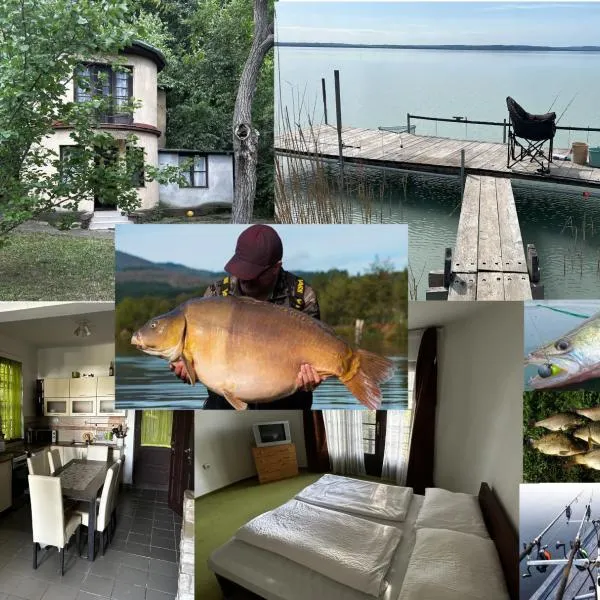 Retro Lakefront House With A Dock，位于鲍洛通维拉戈什的酒店