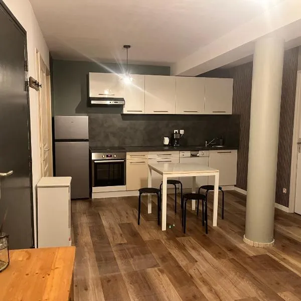 Le 24 carat appartement 3 pièces neuf，位于Beaurepaire的酒店