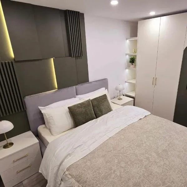 LINIS House，位于勒德乌齐的酒店