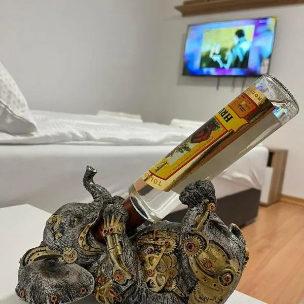 Stanojkov 2，位于博维茨的酒店