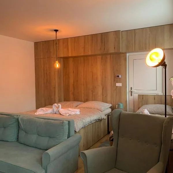 Apartmán Orchidea 3，位于旧柳博夫尼亚的酒店