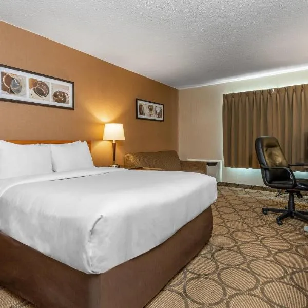 Comfort Inn Regina East，位于里贾纳的酒店