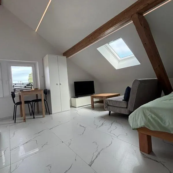 Studio Léo，位于Bôle的酒店