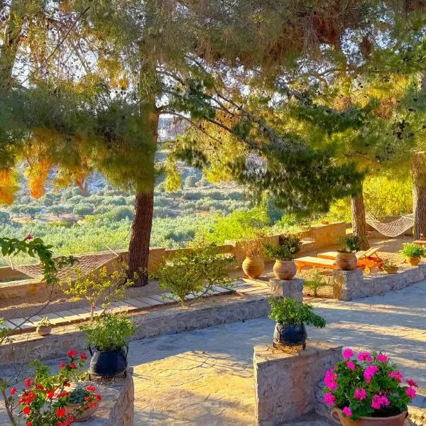 Stella's Traditional Inn，位于加藤扎克罗斯的酒店