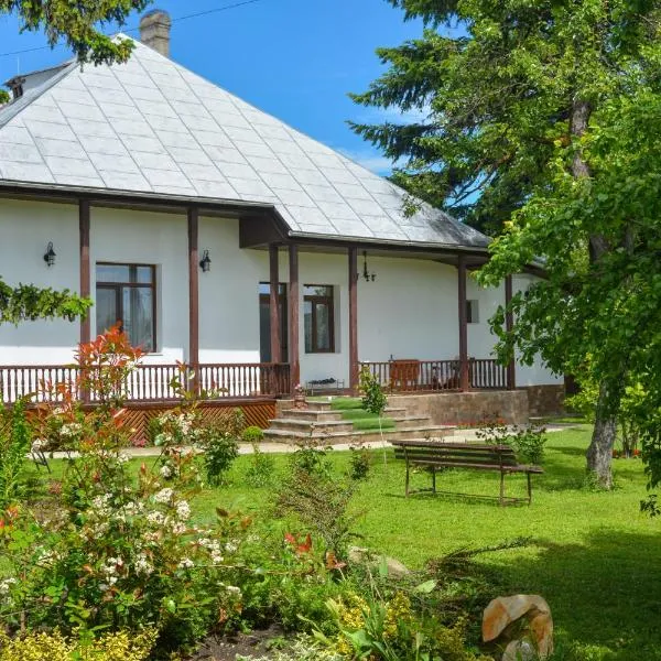 Casa Humulesti, fii vecinul lui Ion Creanga，位于特尔古尼亚姆茨的酒店