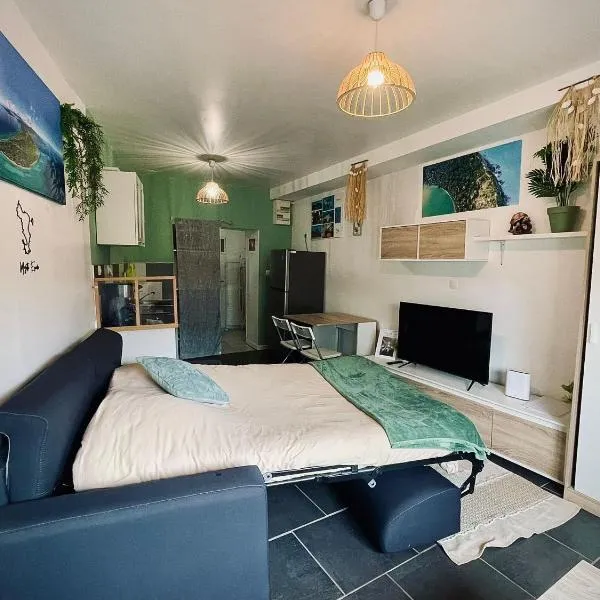 Studio Mayotte Escale，位于Liancourt的酒店