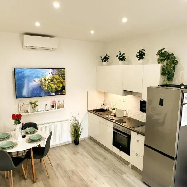 VIBE S32 Apartman,AC,Free Parking，位于塞克希费黑瓦尔的酒店