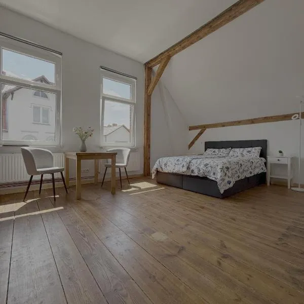 Villa Zeppelin 1，位于约阿希姆斯塔尔的酒店