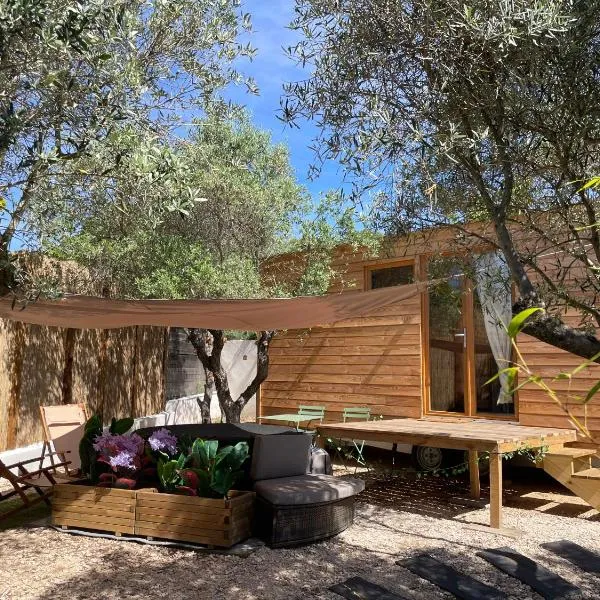 La Tiny House des Oliviers et son jacuzzi，位于穆里耶的酒店