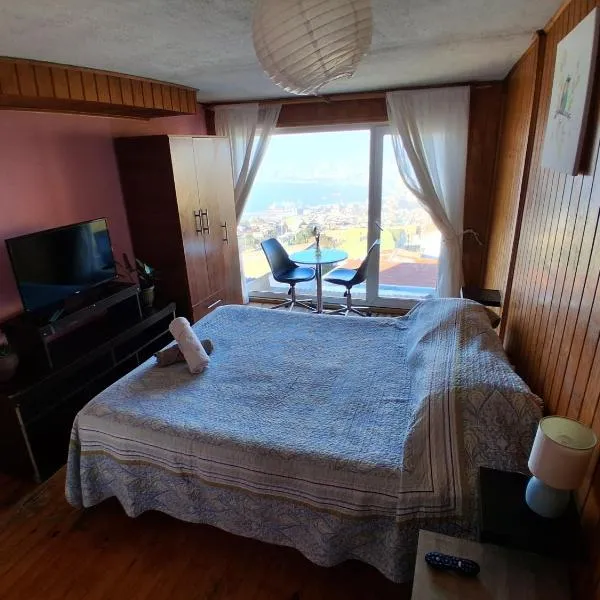 Hostal Casa Altavista，位于瓦尔帕莱索的酒店