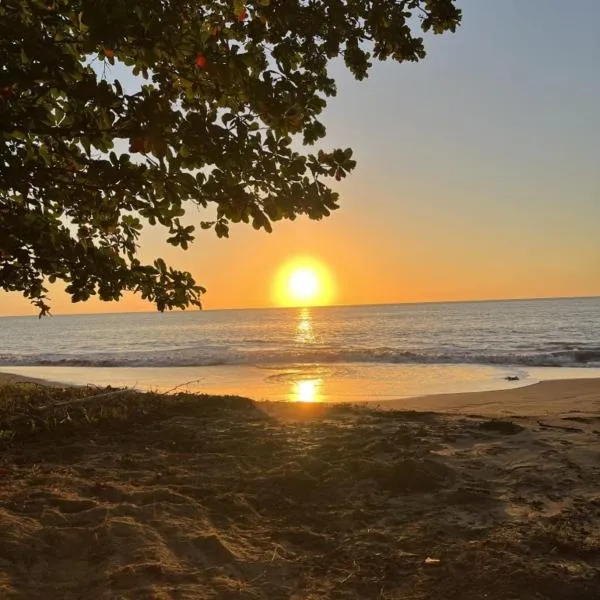 Oceanfront Retreat w- Terrace, Direct access to Beach & BBQ，位于马亚圭斯的酒店