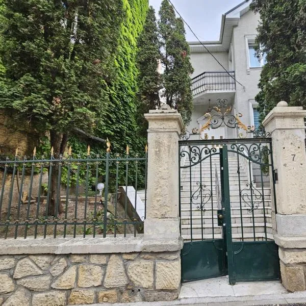 Villa Centrale，位于克卢日-纳波卡的酒店