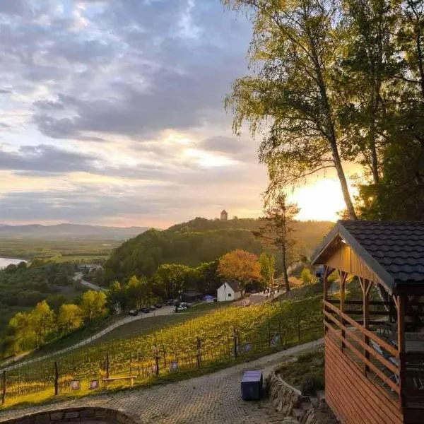 Domki Na Winnicy - Winnica Talaska，位于Melsztyn的酒店