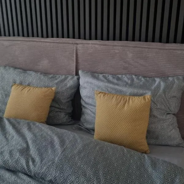 Apartman Lola，位于Novi Grad的酒店