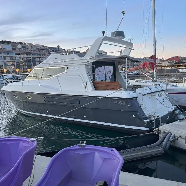 IPANEMA - JOLI BATEAU à QUAI，位于塞特港的酒店