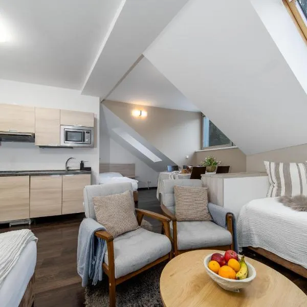 Anenský Apartmán C303 s wellness , O2 TV a stabilní rychlou WIFI, s možností dokoupení bufetových snídaní a s možností dokoupení masáží，位于哈拉霍夫的酒店